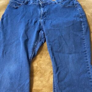 Riders by Lee medium wash straight leg women’s size 20W jeans